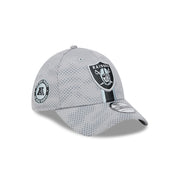 New Era 39Thirty NFL Sideline 2024 Las Vegas Raiders Grey