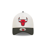 New Era 39Thirty A-Frame NBA Cut N Paste Chicago Bulls Chrome White