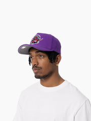 Mitchell & Ness NBA Pro Pinch Evergreen Team Toronto Raptors