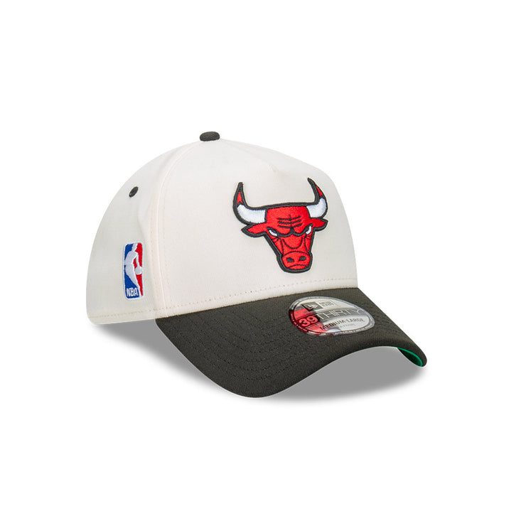 New Era 39Thirty A-Frame NBA Cut N Paste Chicago Bulls Chrome White