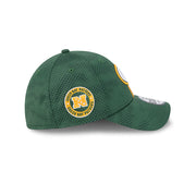 New Era 39Thirty NFL Sideline 2024 Green Bay Packers Team Colour